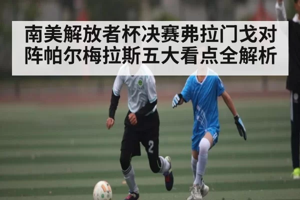 南美解放者杯决赛弗拉门戈对阵帕尔梅拉斯五大看点全解析